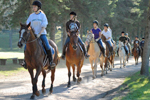 Reiterferien  Urlaub auf dem Reiterhof